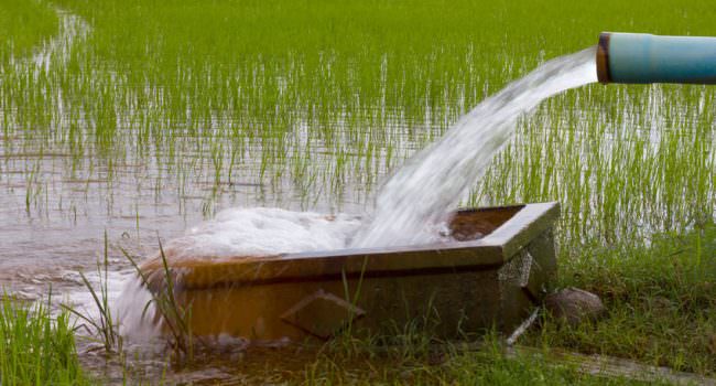 Water Surveying and borehole yield testing